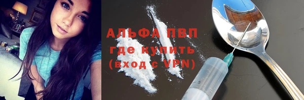 хмурый Пестово