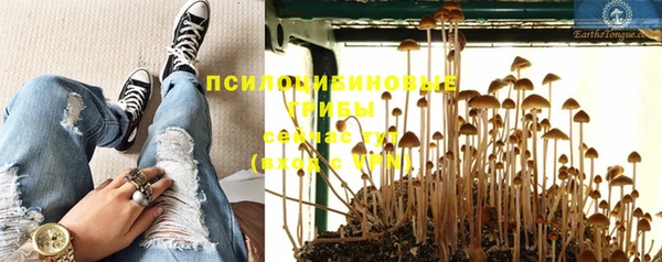 2c-b Балабаново