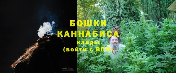 ГАЛЛЮЦИНОГЕННЫЕ ГРИБЫ Балахна