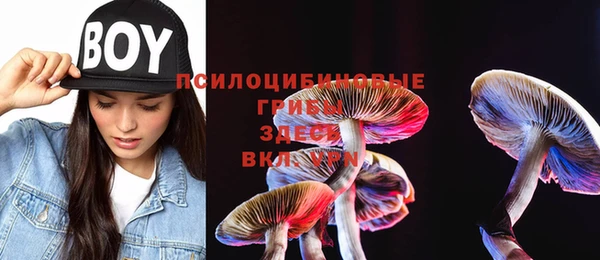 спиды Белокуриха
