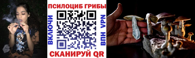 Галлюциногенные грибы Magic Shrooms  блэк спрут как войти  Няндома 